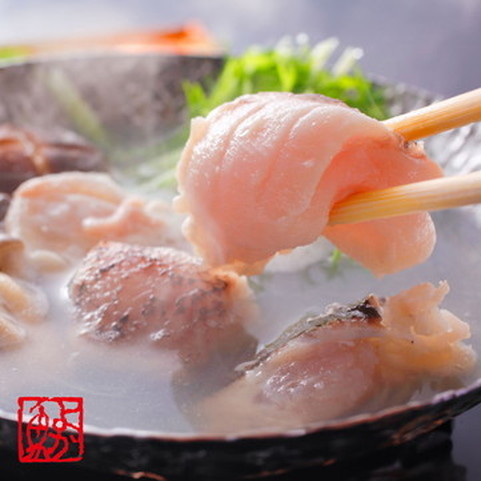 長崎産天然クエ鍋(クエだしの素付き)