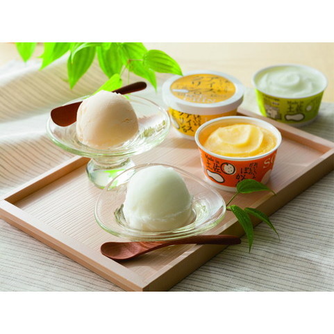 高知Made in 土佐「南の国の高知アイス」高知アイスセット