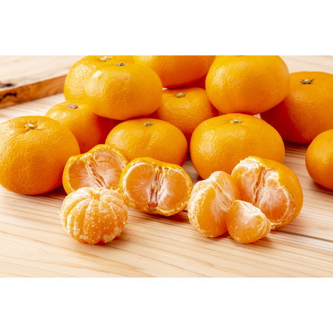 熊本 「ファームオリンピア」特別栽培 温州みかん