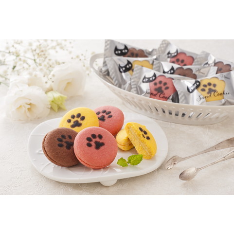 イーペルの猫祭り サンドクッキー