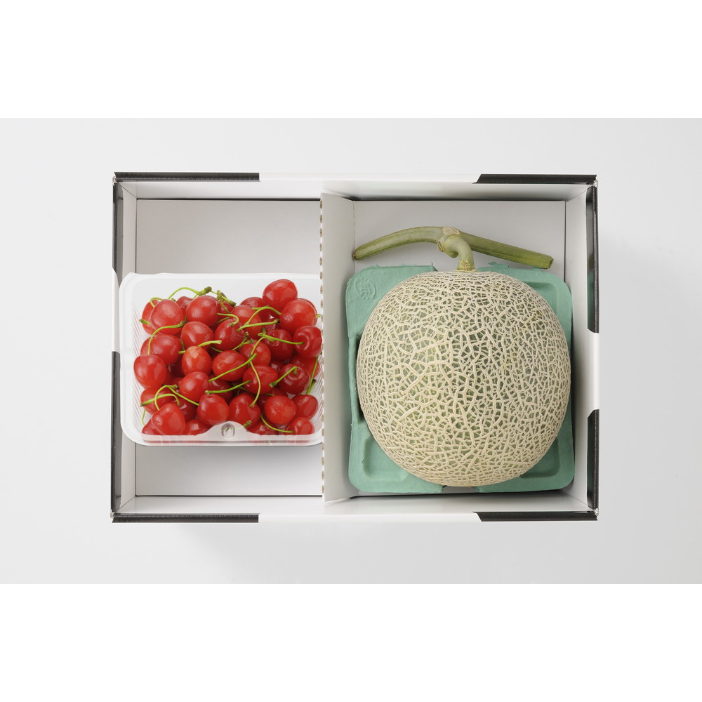 夕張メロンと選べるギフト（さくらんぼ）